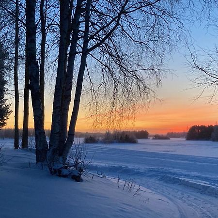 Saarituvat Cottages Rovaniemi Exterior foto